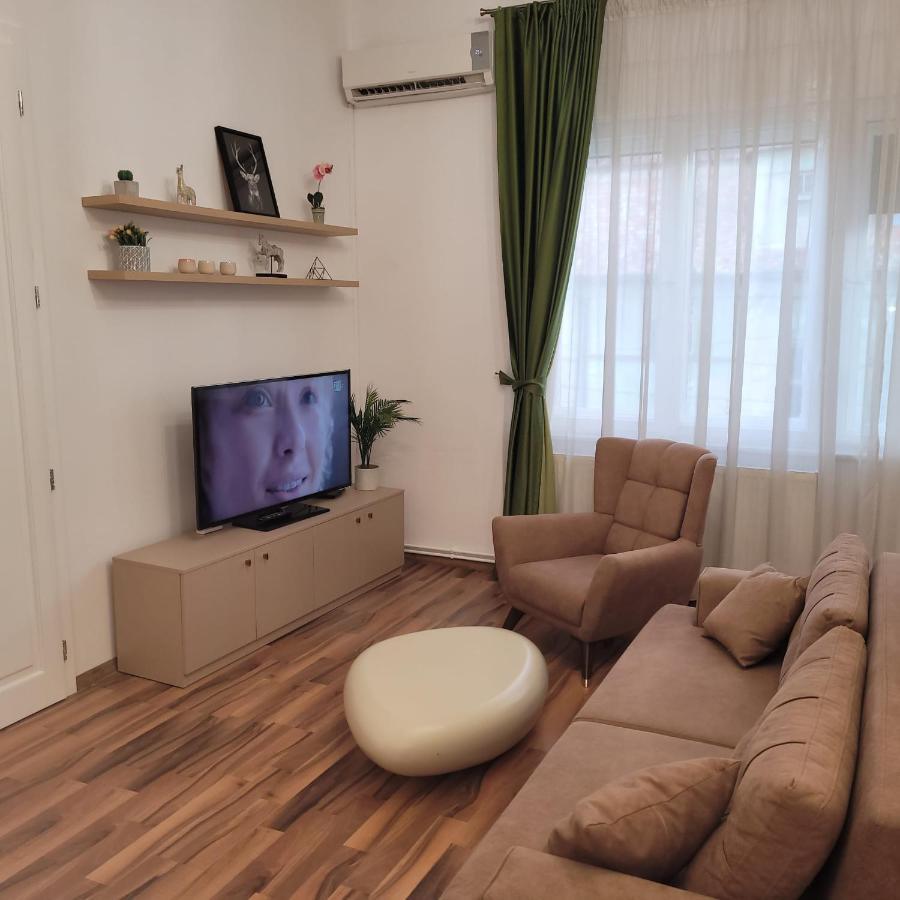 B8 - Spacious, Charming Apartment In Central Sibiu Exterior foto